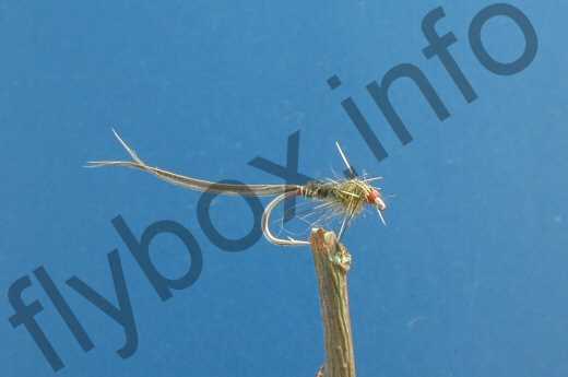 Fish4Flies Little Green Dry Nymph
